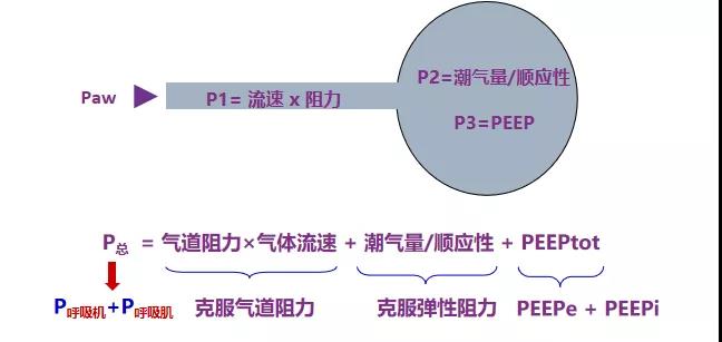 微信图片_20200310091749.jpg